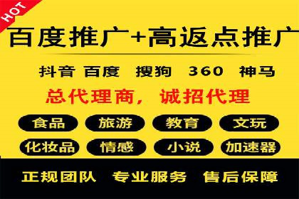 百度推广实战攻略：案例与策略
